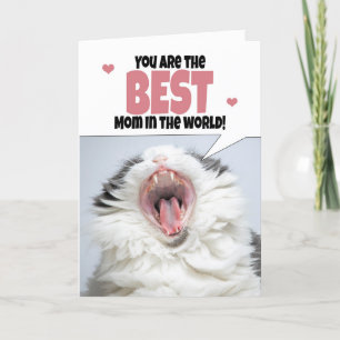 Cartes Pour Fêtes Annuelles Joyeux chat de la Fête des Mères criant Humour 