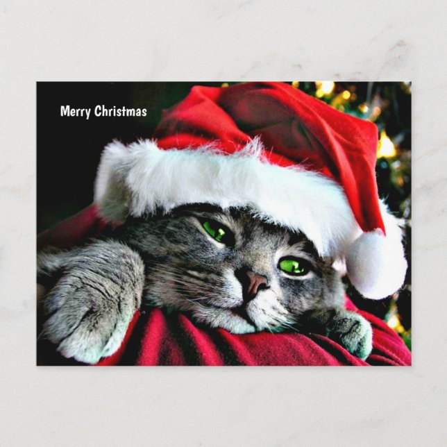 Cartes Pour Fêtes Annuelles Joyeux chat de Noël (Devant)