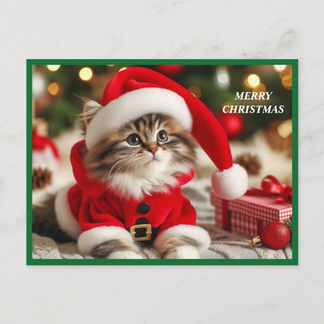 Cartes Pour Fêtes Annuelles Joyeux chat de Noël (Devant)