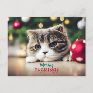 Cartes Pour Fêtes Annuelles Joyeux chat de Noël mignonne aux yeux bleus