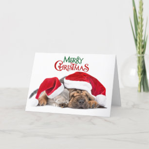 Cartes Pour Fêtes Annuelles Joyeux chat et chien de Noël