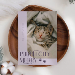 Cartes Pour Fêtes Annuelles Joyeux chat photo violet Noël