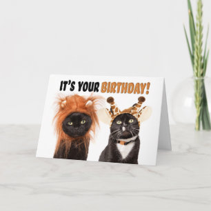 Cartes Pour Fêtes Annuelles Joyeux chats d'anniversaire habillés en animaux sa