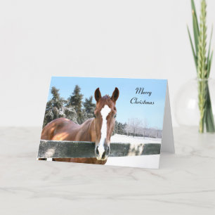 Cartes Pour Fêtes Annuelles Joyeux cheval de Noël