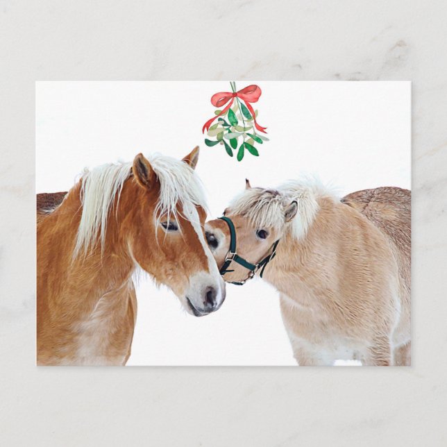 Cartes Pour Fêtes Annuelles Joyeux Cheval de Noël Mistletoe Equine Cute Ponts (Devant)