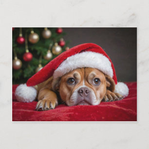 Cartes Pour Fêtes Annuelles Joyeux chien de Noël