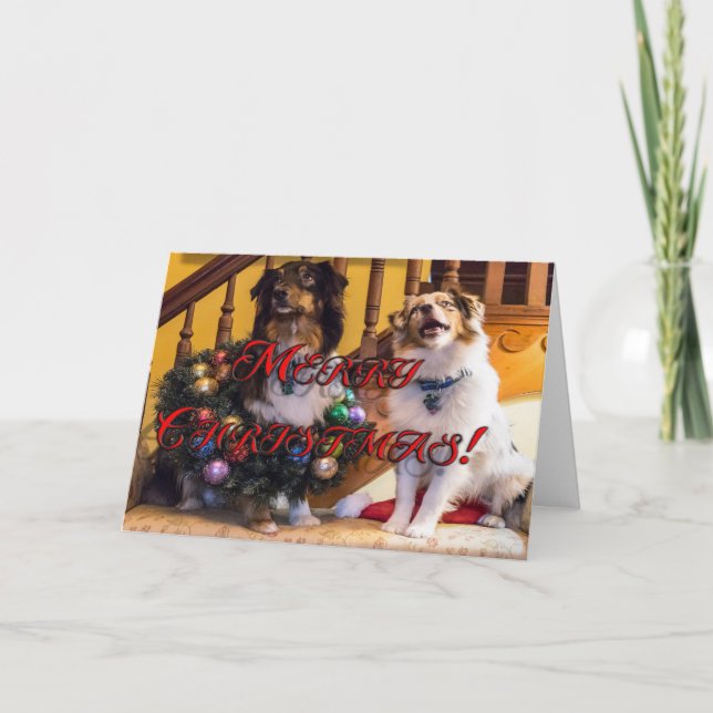 Cartes Pour Fêtes Annuelles Joyeux Chiens de Noël (Devant)