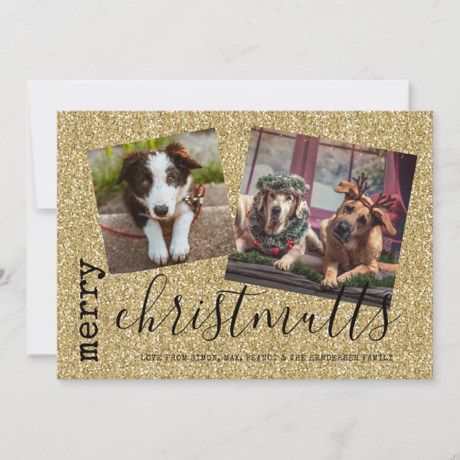 Cartes Pour Fêtes Annuelles Joyeux Christ MUTTS Chien Photo Animaux de compagn (Devant)