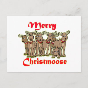 Cartes Pour Fêtes Annuelles Joyeux Christmoose