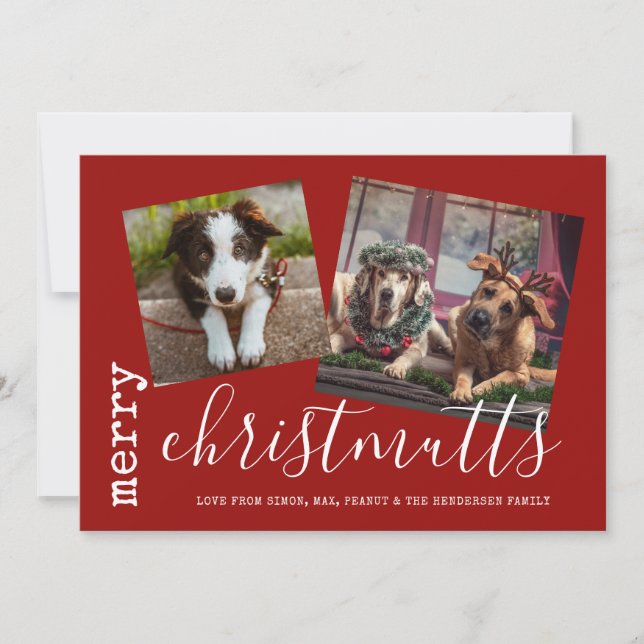 Cartes Pour Fêtes Annuelles Joyeux ChristMUTTS Chien Photo Animaux (Devant)