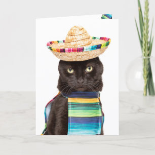 Cartes Pour Fêtes Annuelles Joyeux Cinco De Mayo Chat dans l'Humour de Sombrer