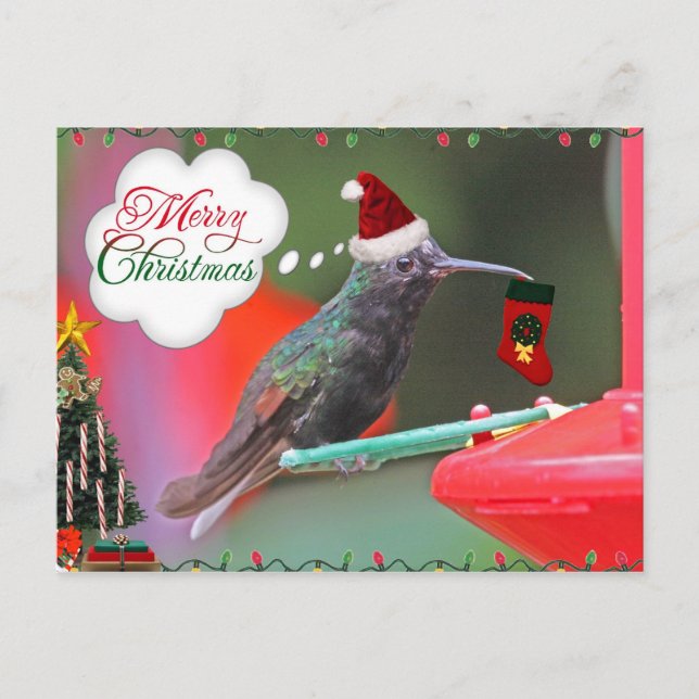 Cartes Pour Fêtes Annuelles Joyeux colibri de Noël (Devant)