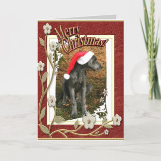 Cartes Pour Fêtes Annuelles Joyeux Cristmas