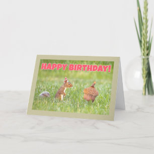 Cartes Pour Fêtes Annuelles Joyeux Écureuil D'Anniversaire Avec Grand Humour D