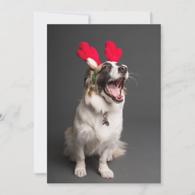 Cartes Pour Fêtes Annuelles Joyeux et Bonheur Tout ! (Devant)