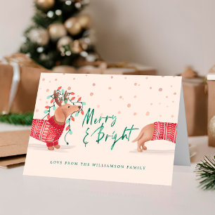 Cartes Pour Fêtes Annuelles Joyeux et lumineux   Chandail de Noël Dachshund Do
