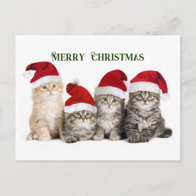Cartes Pour Fêtes Annuelles Joyeux félins de Noël (Devant)