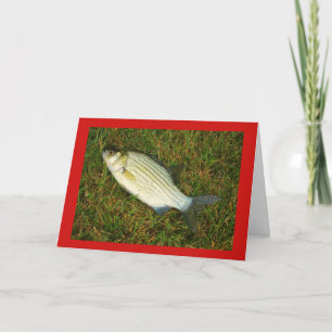 Cartes Pour Fêtes Annuelles Joyeux Fishmas !