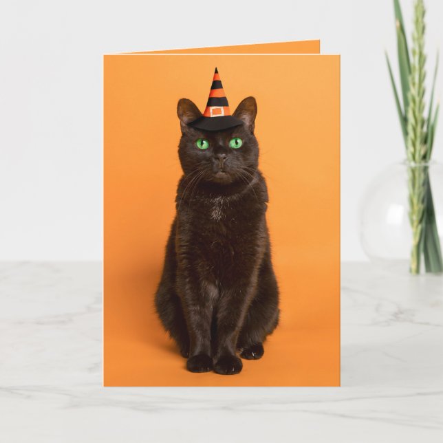 Cartes Pour Fêtes Annuelles Joyeux Halloween à tous Chat noir en chapeau de so (Devant)