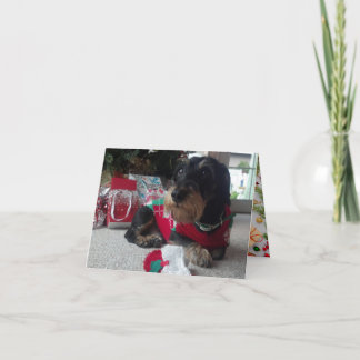 Cartes Pour Fêtes Annuelles Joyeux Howlidays