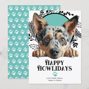 Cartes Pour Fêtes Annuelles Joyeux Howlidays Australian Cattle Dog Christmas