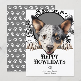 Cartes Pour Fêtes Annuelles Joyeux Howlidays Australian Stumpy Dog Christmas