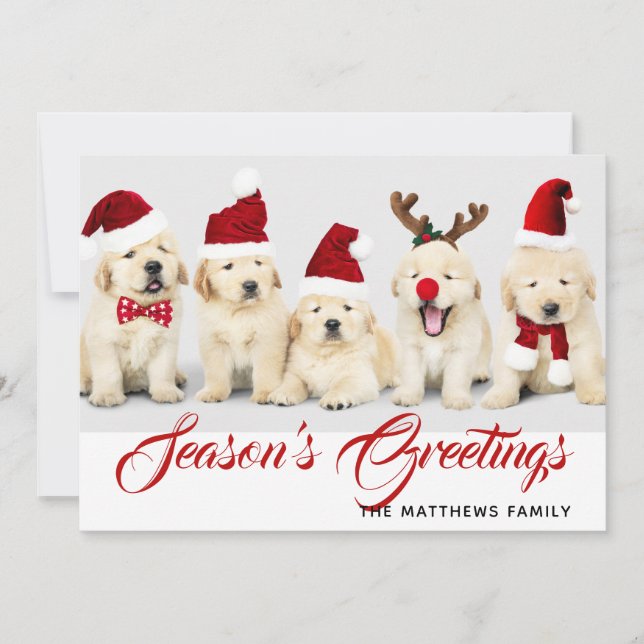 Cartes Pour Fêtes Annuelles Joyeux Howlidays Bonnes Fêtes Photo Noël (Devant)