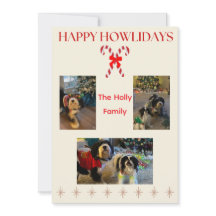 Joyeux Howlidays Cannes à Sucre et Paillettes