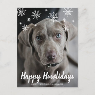 Cartes Pour Fêtes Annuelles Joyeux Howlidays Chalk Script Snowflakes Photo Dog