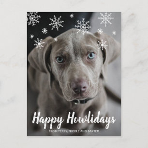 Cartes Pour Fêtes Annuelles Joyeux Howlidays Chalk Script Snowflakes Photo Dog