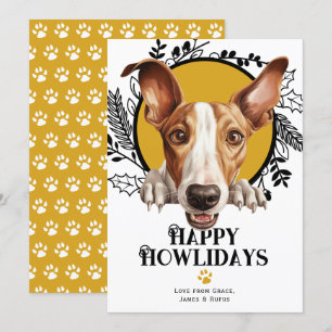 Cartes Pour Fêtes Annuelles Joyeux Howlidays Ibizan Hound Dog Christmas