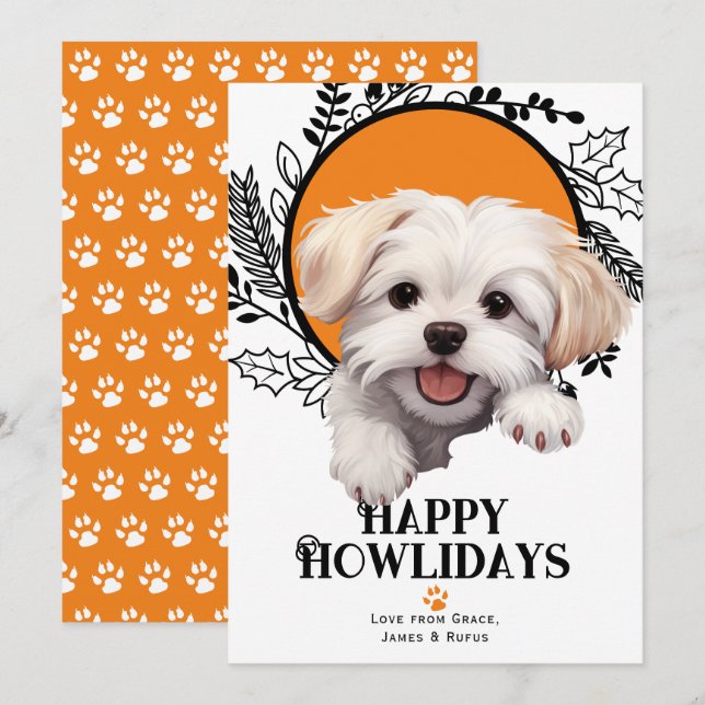Cartes Pour Fêtes Annuelles Joyeux Howlidays Noël de chien maltais (Devant / Derrière)
