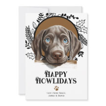 Joyeux Howlidays Weimaraner Chien Noël