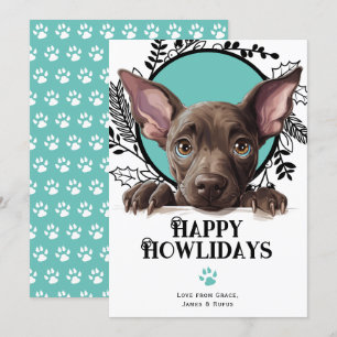 Cartes Pour Fêtes Annuelles Joyeux Howlidays Xoloitzcuintli Chien Noël