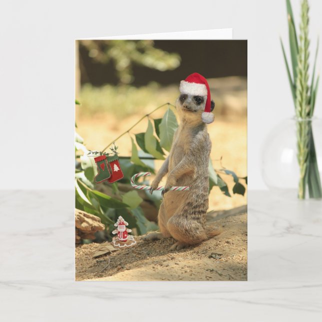 Cartes Pour Fêtes Annuelles Joyeux Meerkat (Devant)