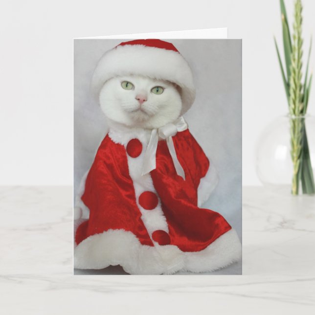 Cartes Pour Fêtes Annuelles Joyeux Missy (Devant)