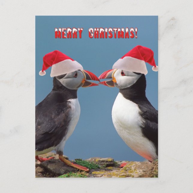 Cartes Pour Fêtes Annuelles Joyeux Noël (Devant)