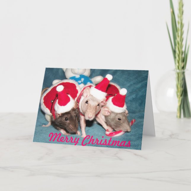 Cartes Pour Fêtes Annuelles Joyeux Noël (Devant)