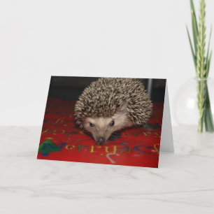 Cartes Pour Fêtes Annuelles Joyeux Noël!