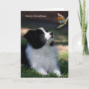 Cartes Pour Fêtes Annuelles Joyeux Noël