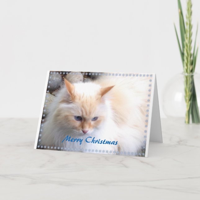 Cartes Pour Fêtes Annuelles Joyeux Noël (Devant)