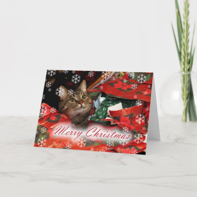 Cartes Pour Fêtes Annuelles Joyeux Noël (Devant)