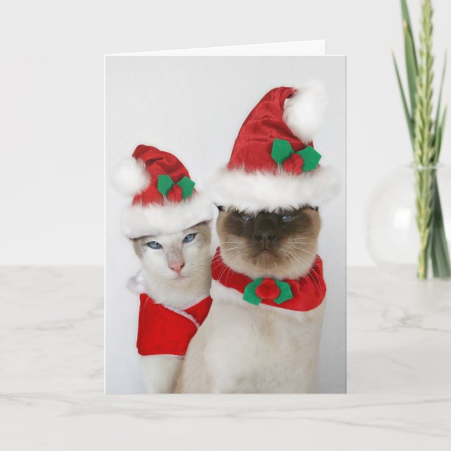 Cartes Pour Fêtes Annuelles Joyeux Noël ! (Devant)