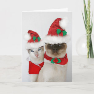 Cartes Pour Fêtes Annuelles Joyeux Noël !