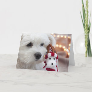 Cartes Pour Fêtes Annuelles Joyeux Noël !