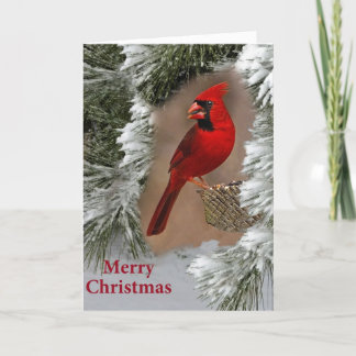 Cartes Pour Fêtes Annuelles Joyeux Noël