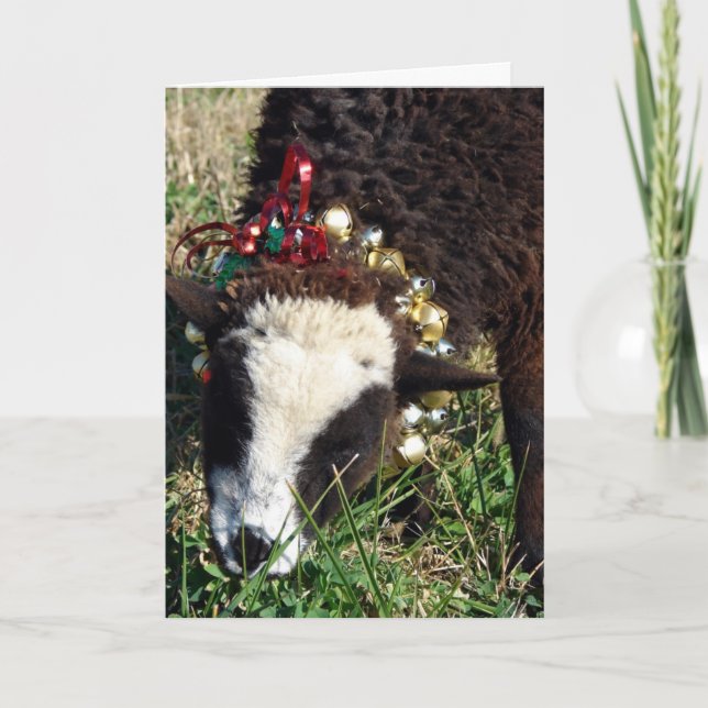 Cartes Pour Fêtes Annuelles Joyeux Noël (Devant)