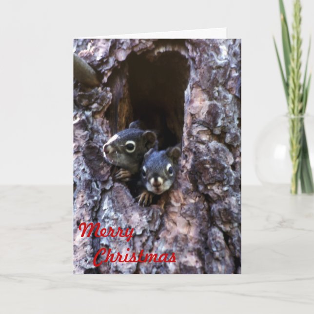 Cartes Pour Fêtes Annuelles Joyeux Noël (Devant)