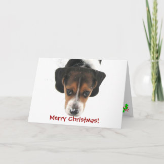 Cartes Pour Fêtes Annuelles Joyeux Noël !