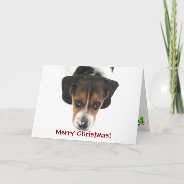 Cartes Pour Fêtes Annuelles Joyeux Noël ! (Devant)